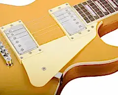 KAYSEN K-EG9 GD Elektro Gitar | LP Kasa HH Manyetik